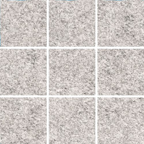 Brutus Mosaique